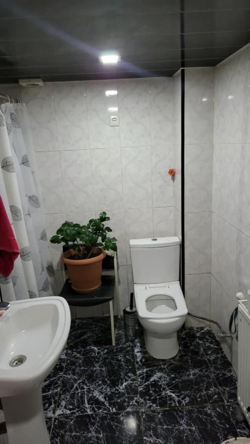 Hotel Happy Pandasn12 Borjomi Exterior foto