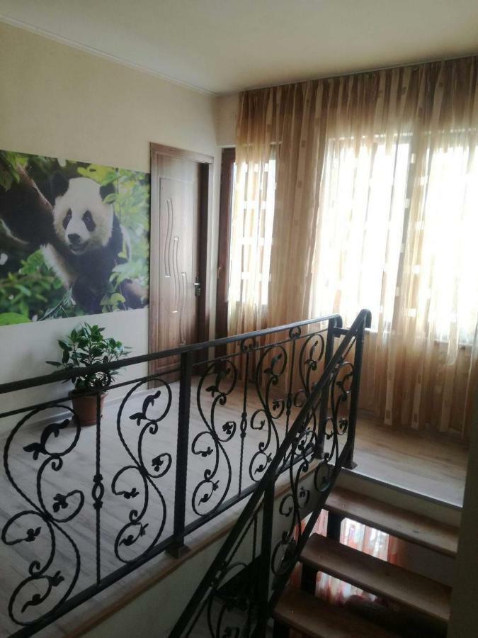 Hotel Happy Pandasn12 Borjomi Exterior foto