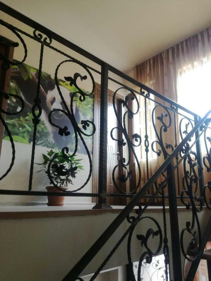 Hotel Happy Pandasn12 Borjomi Exterior foto