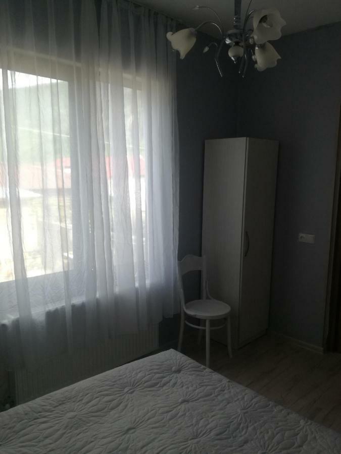 Hotel Happy Pandasn12 Borjomi Exterior foto